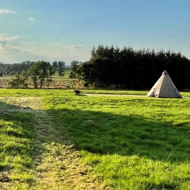 Camping and glamping in wild Northumberland.