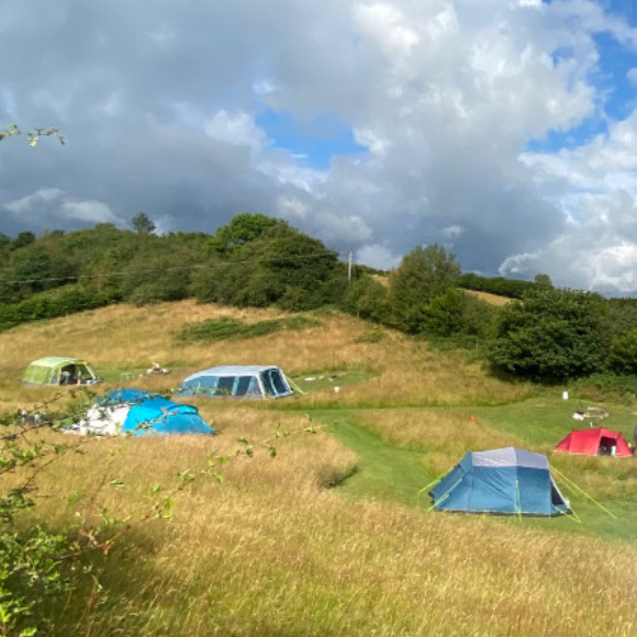 Camping tents at Belan Bluebells