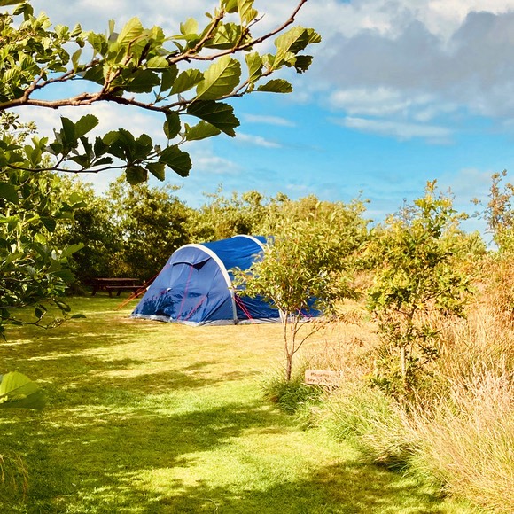 A tent on a secluded camping pitch.