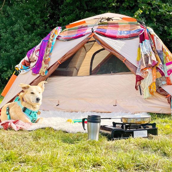 Camping and cooking with the dog.