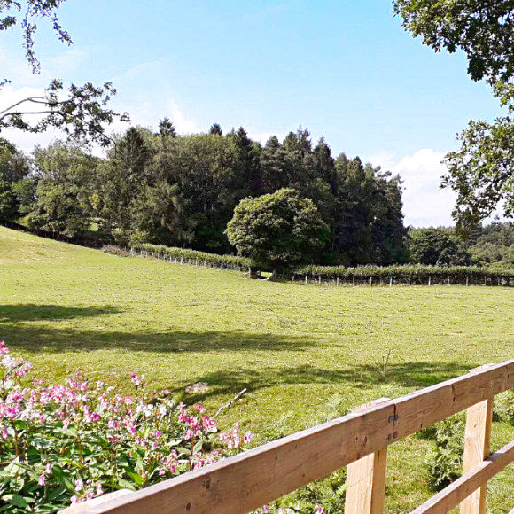 Cwm Wye Camping in mid-Wales.