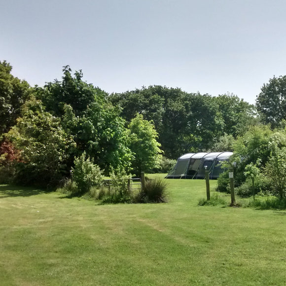 Camping at Cwrt Hen Campsite, Newcastle Emlyn, Wales.