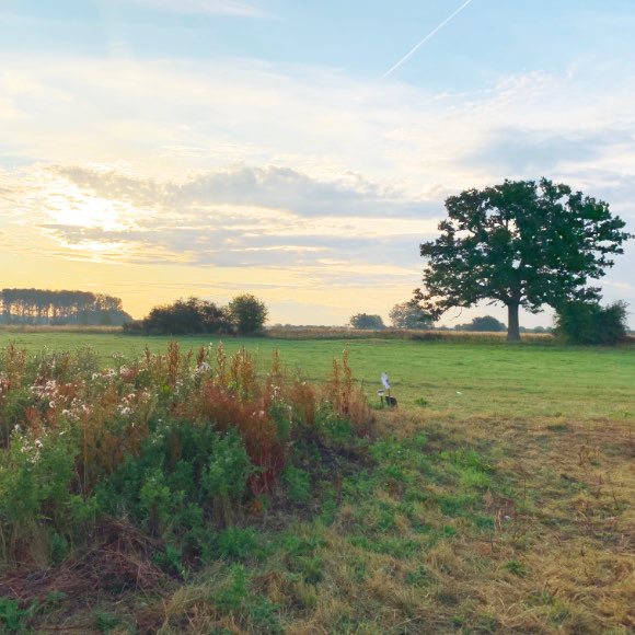 Wild camping in the peaceful Oxfordwhire countryside.
