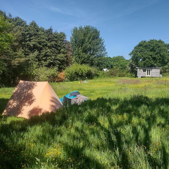 Camping and glamping at Gweek Campsite, Cornwall.