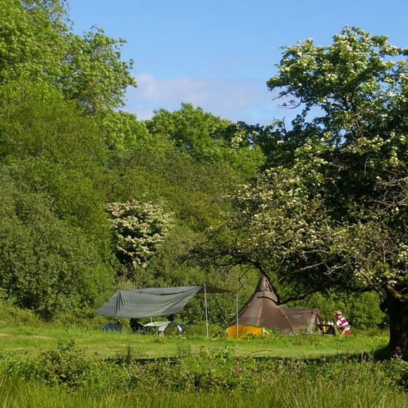 Into The Sticks, Pembrokeshire, a Greener Camping Club campsite.