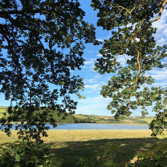 Camping on the banks of the River Taf, close to Laugharne