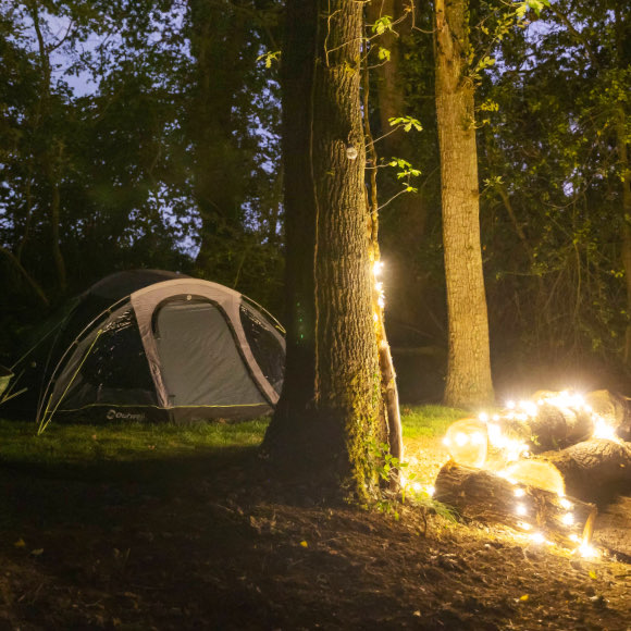 Woodland camping in Devon