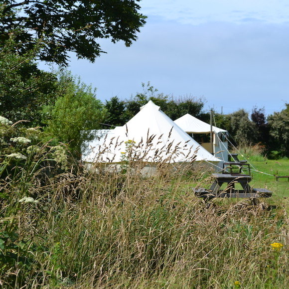 Camping at Spring Meadow Farm in St Davids, Pembrokeshire.