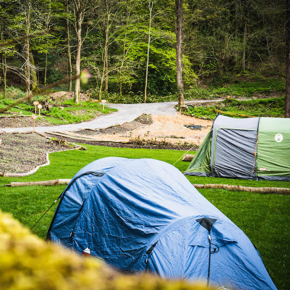 Woodland camping in north Wales.
