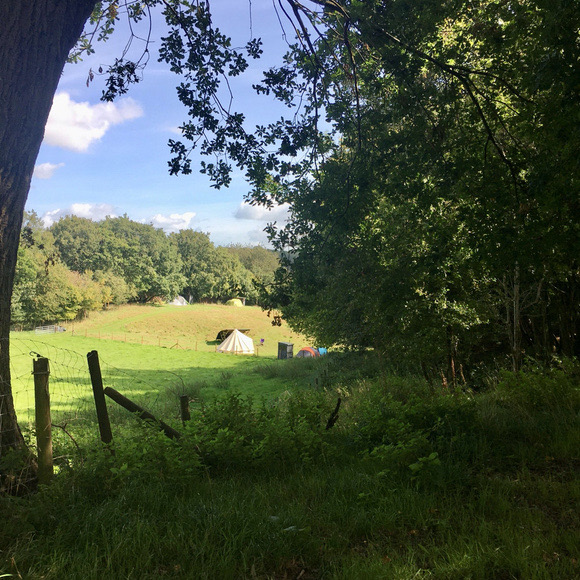 Camping at Wild Cherry Campsite in north Wales