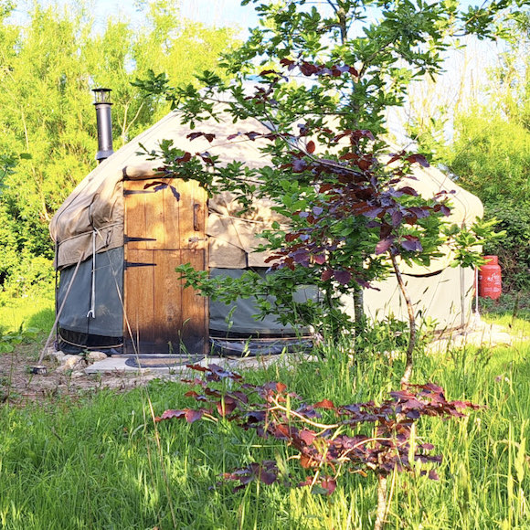 Yurt glamping on Anglesey