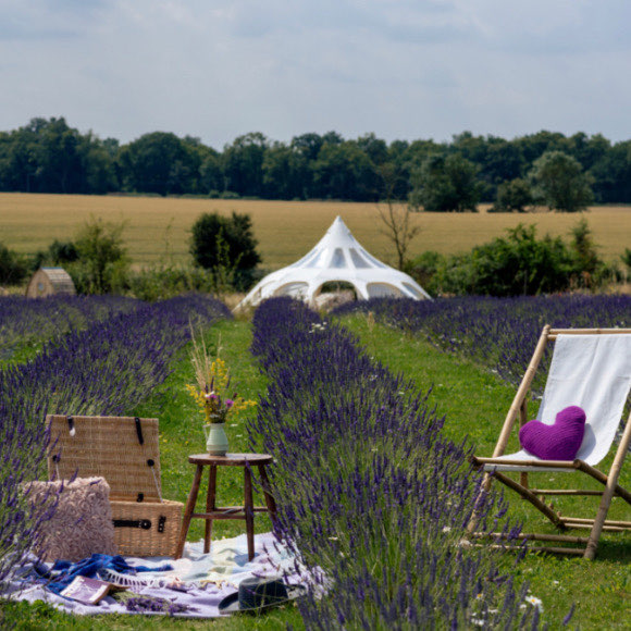 Finchingfield Camping, Essex - The Greener Camping Club