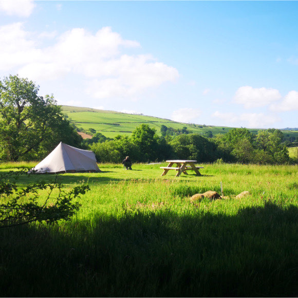 Llansawel Agored, Carmarthenshire - The Greener Camping Club