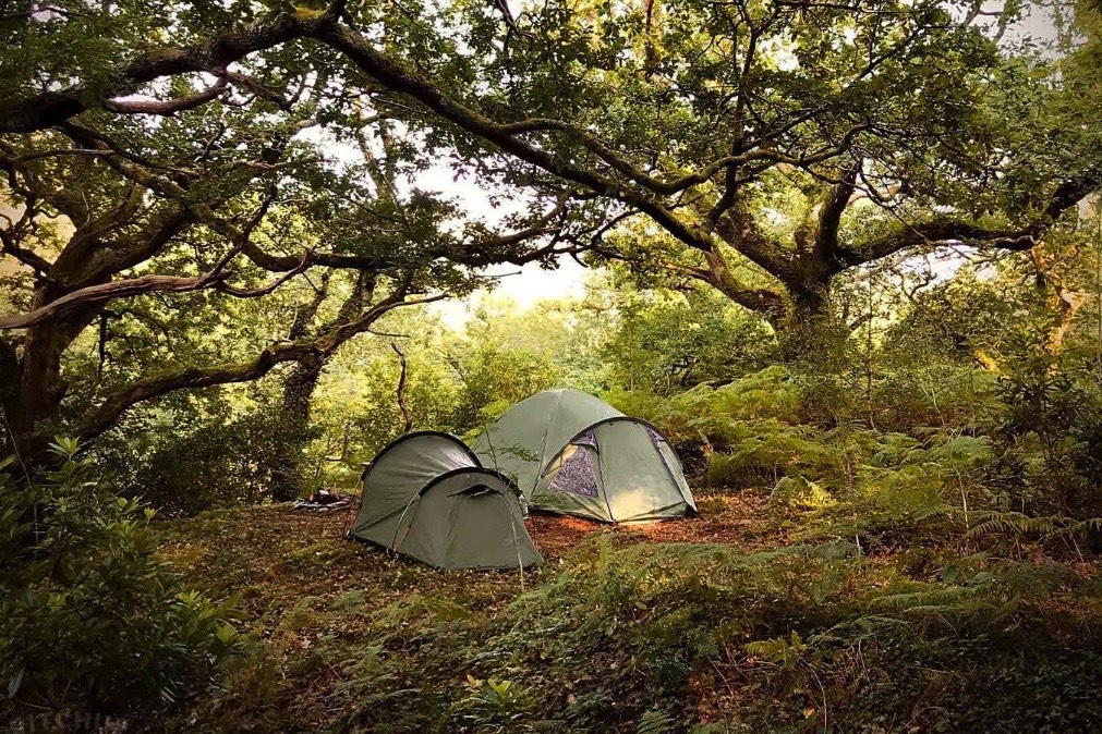 Camping in Gwynedd - Cefn Coed | The Greener Camping Club